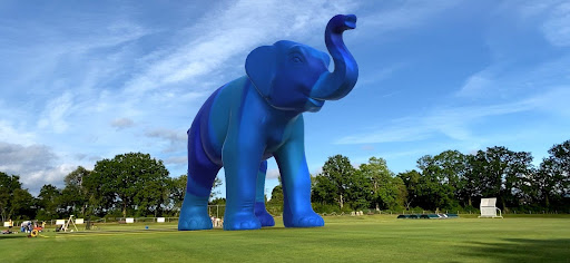 elephant augmented reality